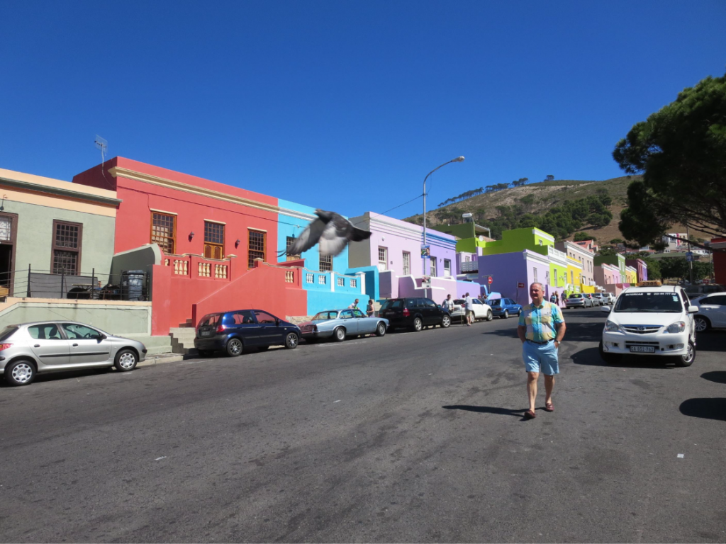 ct pigeon and man in coloured shirt in Bo-Kaap-01